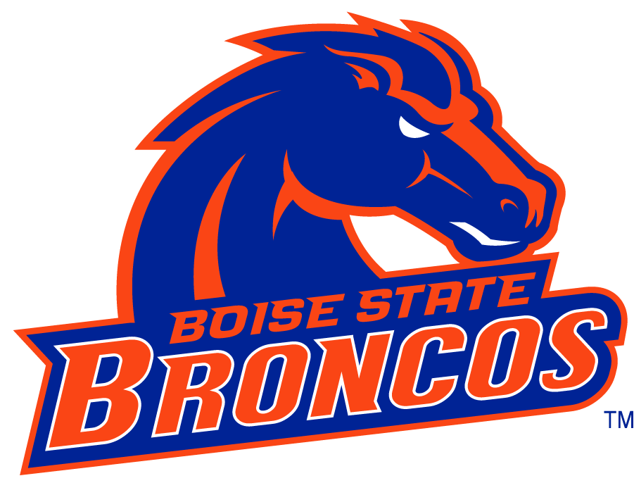 Boise State Broncos 2002-2012 Secondary Logo v20 diy iron on heat transfer